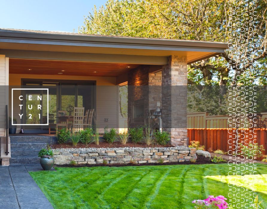 Luxury Backyard